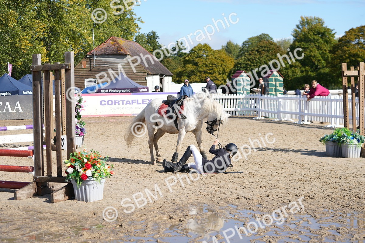 SBM_38360 - J6 - Junior Pony 55cm Championship