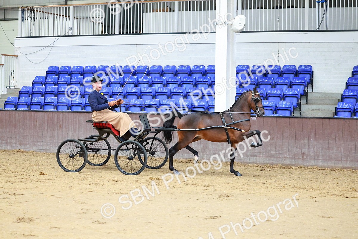 SBM_000615 - Class 9 - HHS Championship Intl Hackney Pony to a Showwagon