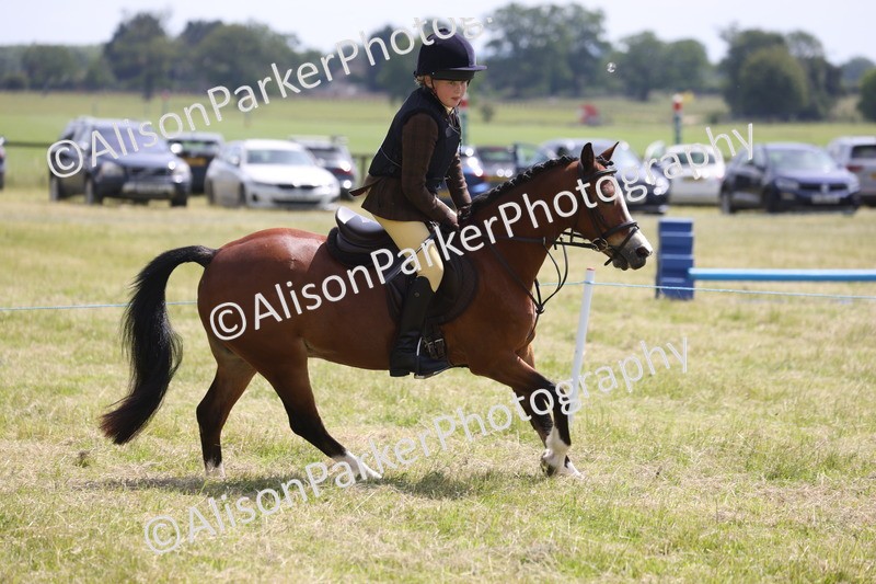 20260614-1760 - Class 21 - Novice Working Hunter Pony