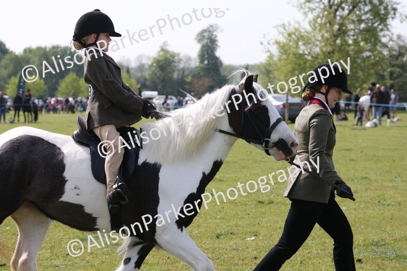 20260426-2546 - Class 31 - Leading Rein