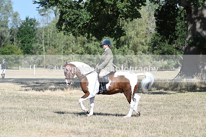 WJ7_3236 - Class 8 Ridden Tack & Turnout