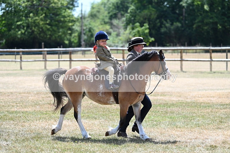 WJ7_2677 - Class 6 Ridden Mountain and Moorland