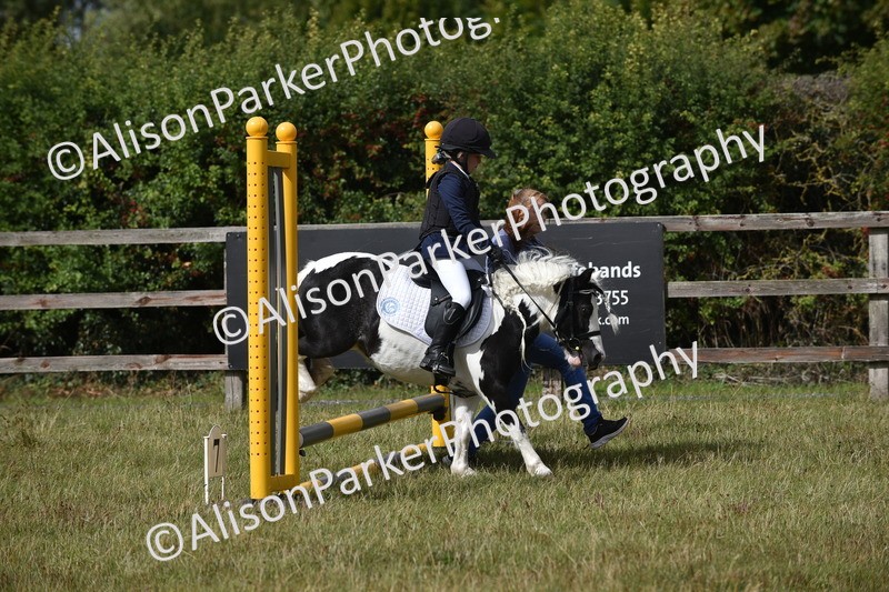 20250831-1817 - Class 8 - Hoof and Foot