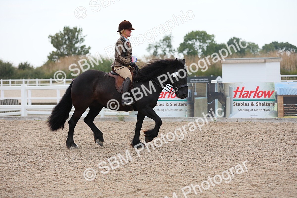 SBM_18264 - Class 316 Best Pony/Rider Combination