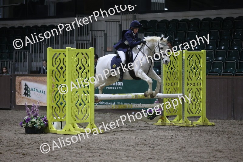 20260125-5054 - Class 5 - 80cm