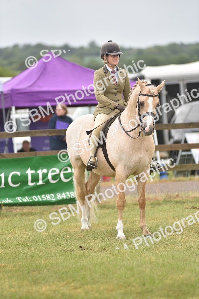 SBM_12117 - Class 110-112 - LIHS BSPS Performance Pones