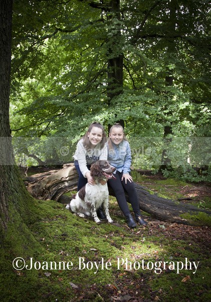  - Dog Portrait Photography