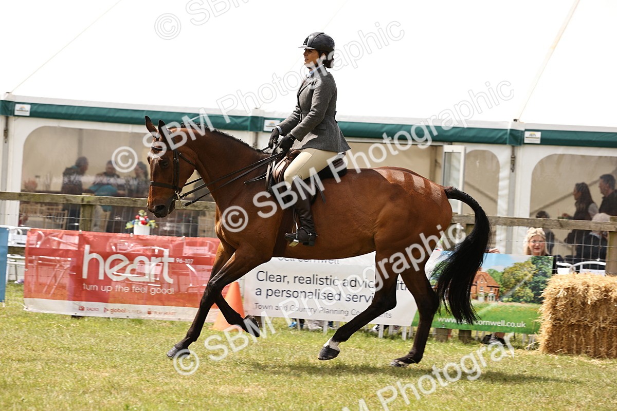 SBM_14677 - Class 88-89 - LIHS BSHA Rising Star of Ridden Hunter Type