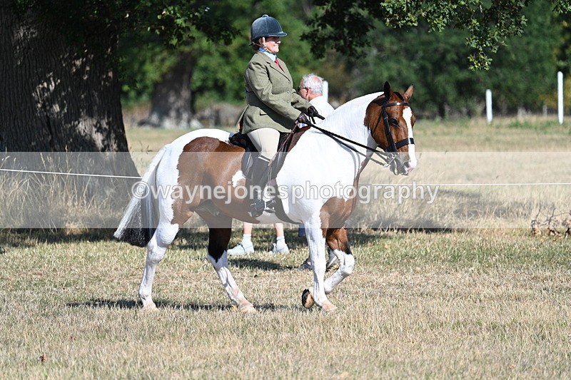 WJ7_3124 - Class 8 Ridden Tack & Turnout