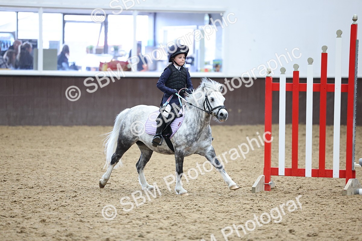 SBM_007388 - Class 2 - 50cm showjumping