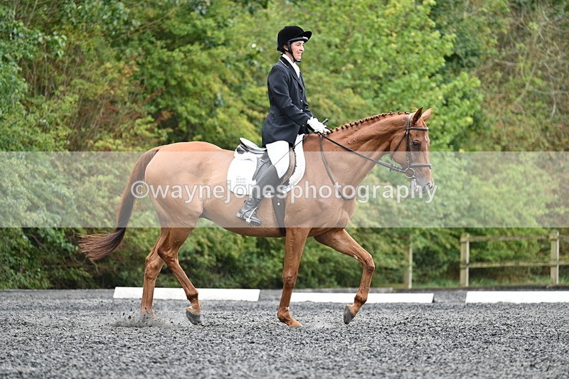 WJ7_6569 - Time 12:06 to 12:24