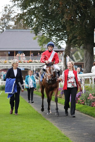 yr09102021r2-28 - Race 2 2.02pm Coral Beaten-By-A-Length Free Bet Rockingham Stakes