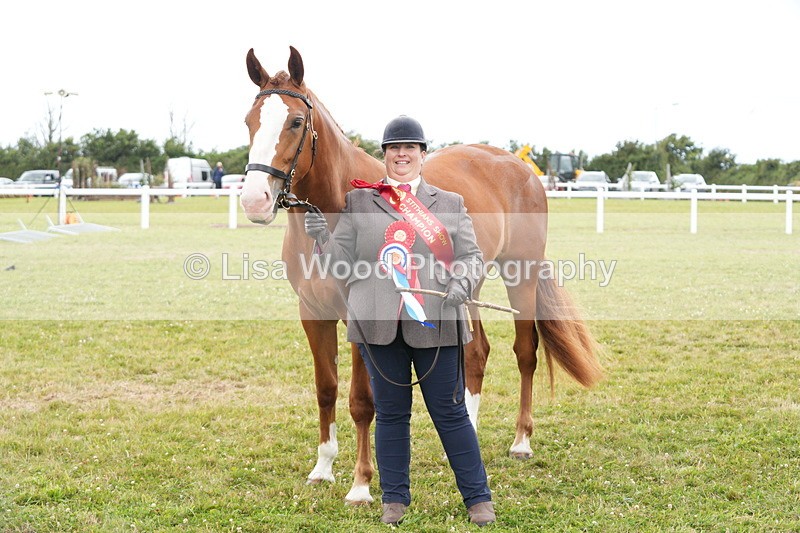 DSC06444 - Hunter/Riding Horse/Hack In Hand Championship