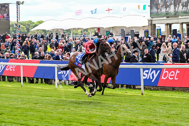 150526-Race 2-Lilt-7208 - Race 2 2.20pm Sky Bet Fillies' Stakes