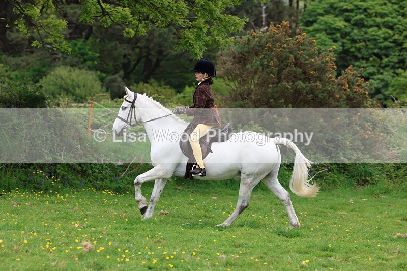 3E7A1817 - Class 9: Riding Club Horse/Pony