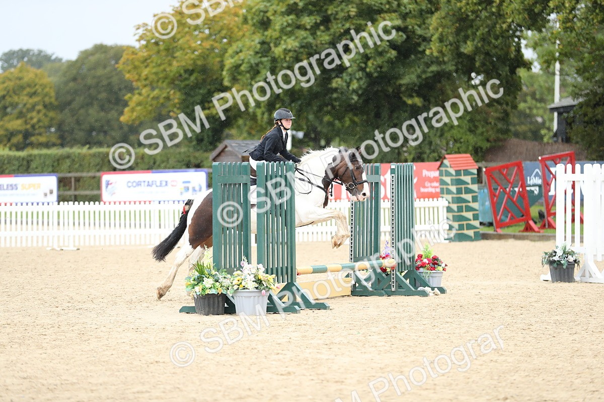 SBM_37199 - J20 - Junior Horse 50cm Championship