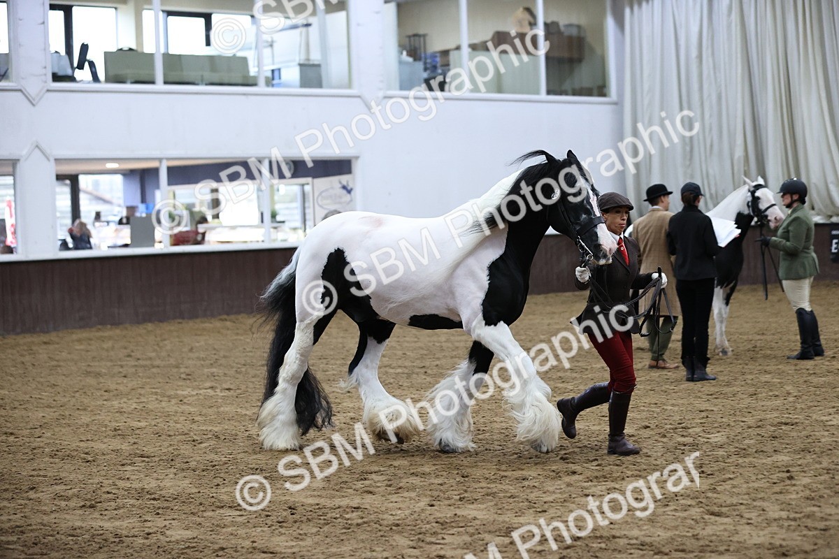 SBM_5646 - Class 40 - RESS In Hand Qualifier