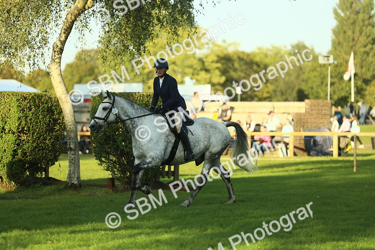 SBM_55549 - S14 - Riding Club Horse