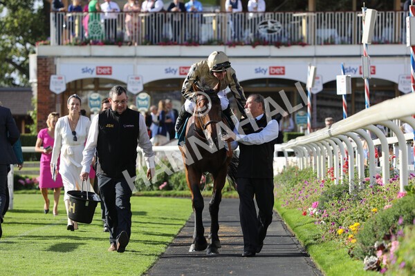 yr20082022r7-39 - Race 7 5.20pm Sky Bet Finale Stakes