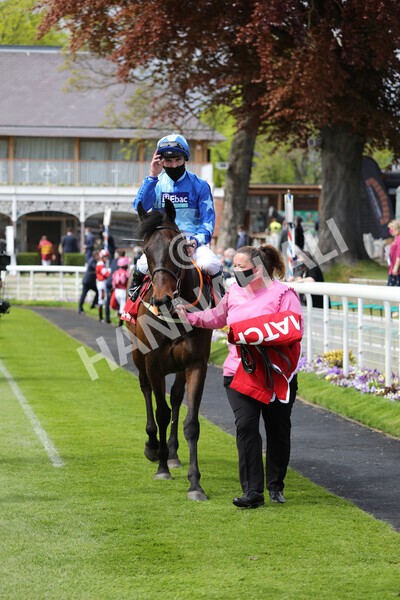  - Race 3 2.40pm The Matchbook Betting Podcast Hambleton Stakes