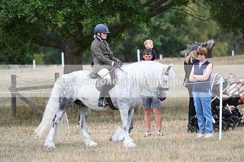 WJ7_5408 - Class 12 Ridden Cob