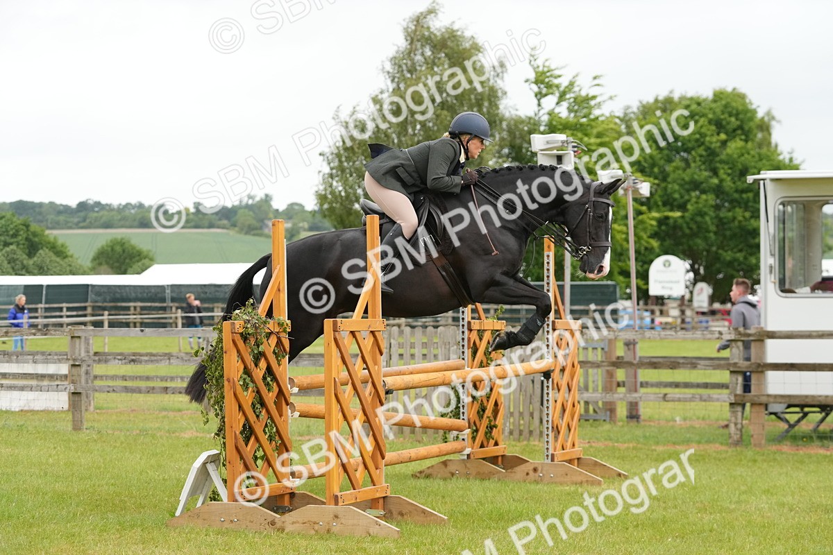 SBM_12581 - Class 97-98 - LIHS BSHA Rising Star Working Show Horse Hunter