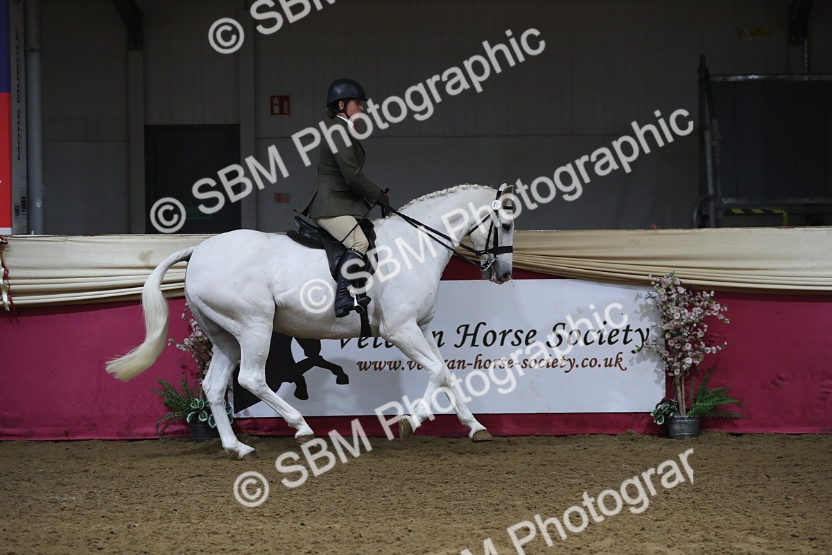 SBM_10381 - Class 102 Equitation (best rider) Adult