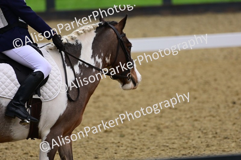 20260125-0643 - Class 9b - Walk Trot Unassisted