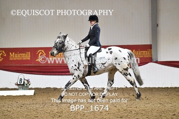BPP_1674 - PC NOVICE DRESSAGE
