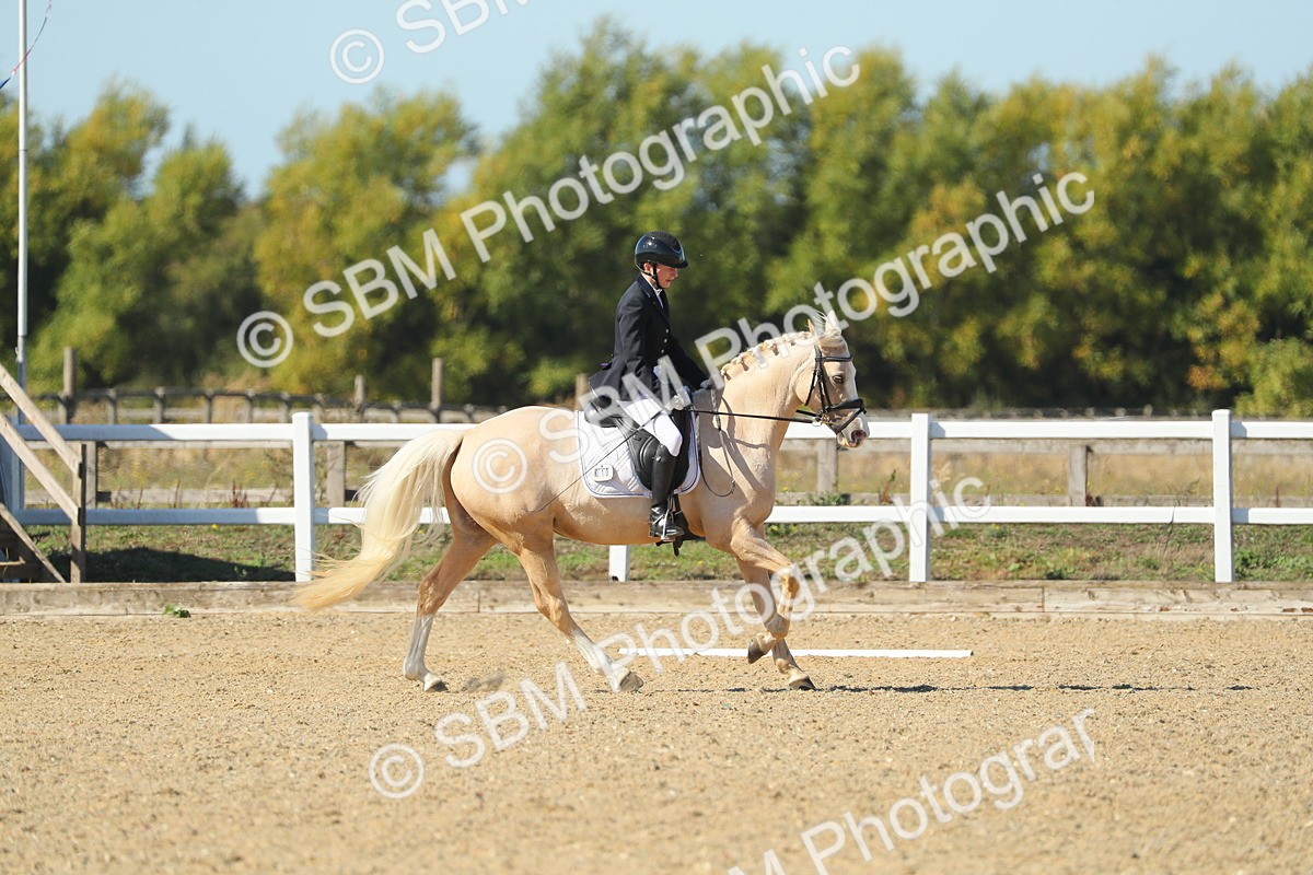SBM_001352 - Class 5 - N5