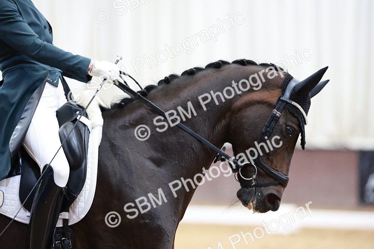 SBM_020154 - Class 12 - FEI PSG - 14.12-15.00