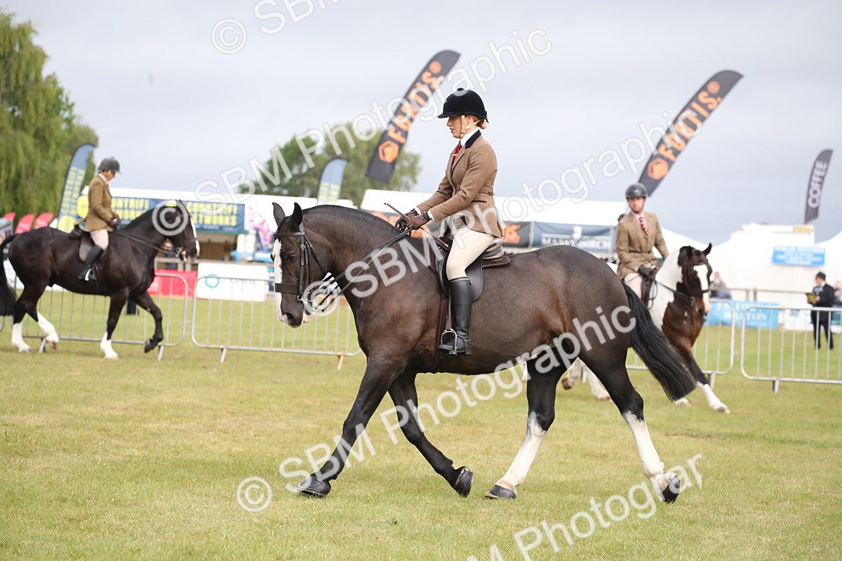 SBM_11239 - Class 92-93 - LIHS BSHA Rising Star Cobs