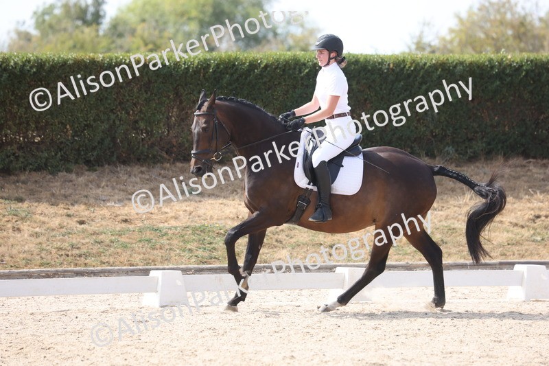 20260815-1051 - Class 6 - Novice 2