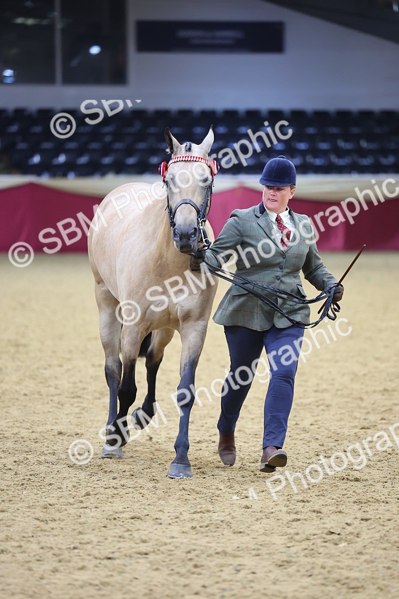 SBM_20866 - Class 902 - Supreme Final IH Veteran