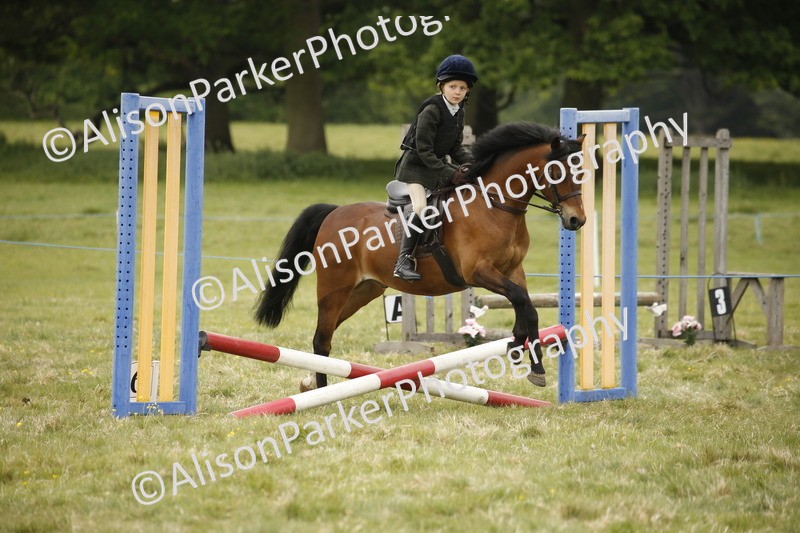20250517-0900 - Class 2 - 30cm Off Lead Rein