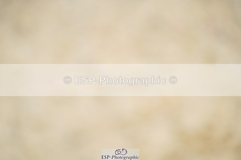 240309-112624-00361 - Cls 01 AE 70cm