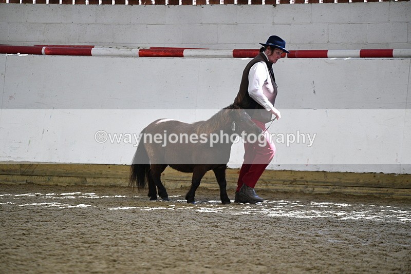 WJ5_5240 - Class 4 In hand M&M - small breeds