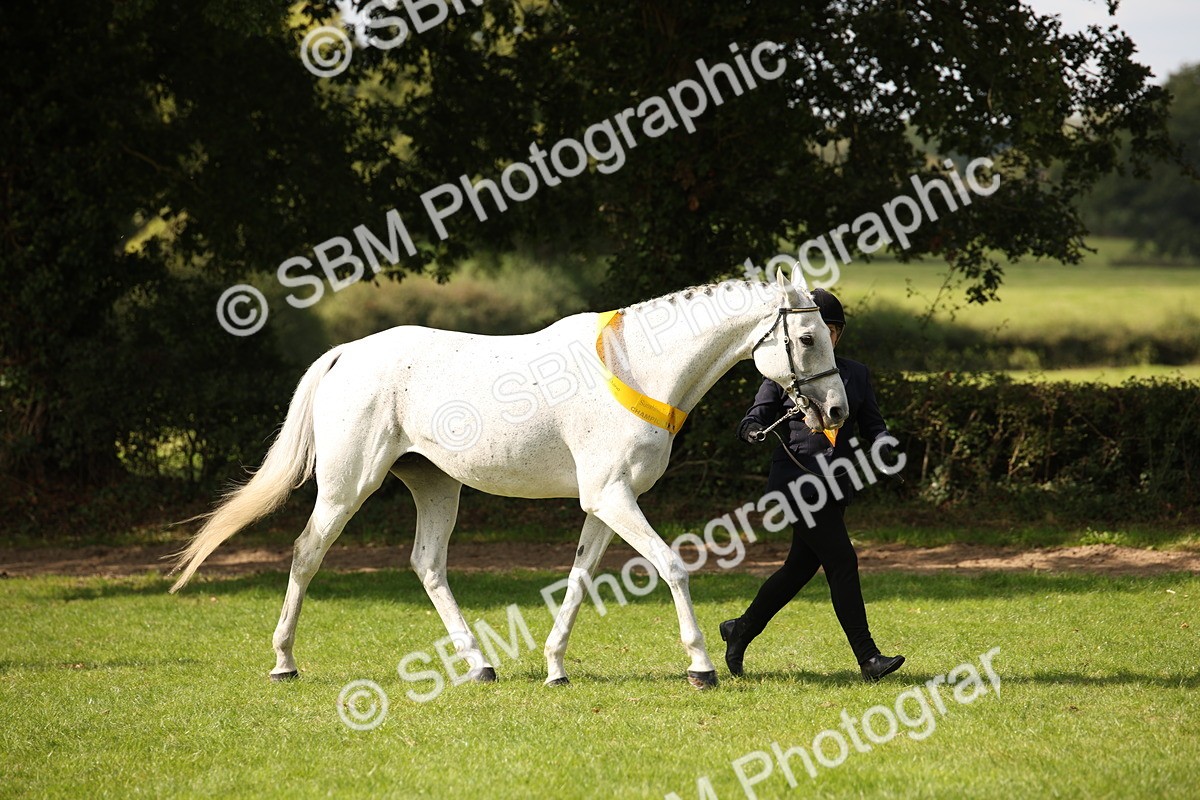 SBM_62981 - In Hand Horse Supreme Championship