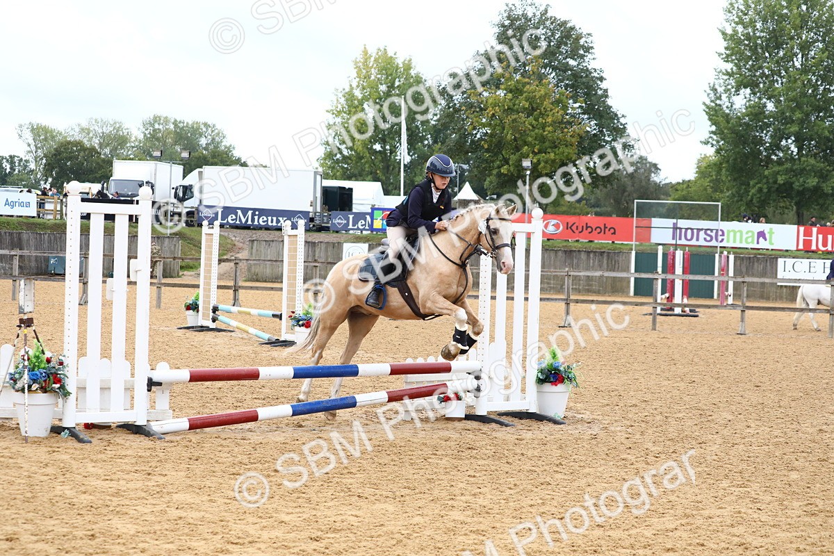 SBM_60033 - J63 - Junior Pony 50cm Championship