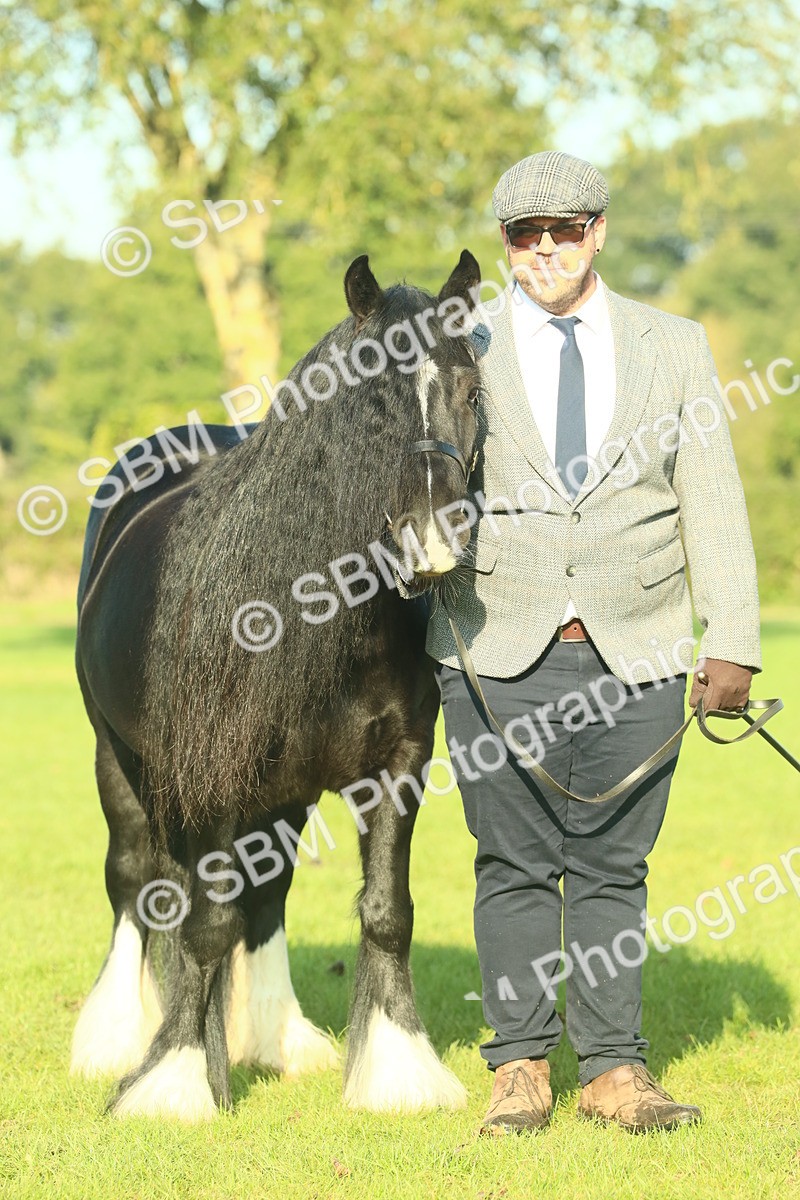 SBM_58583 - S37 - Starters In Hand Showing