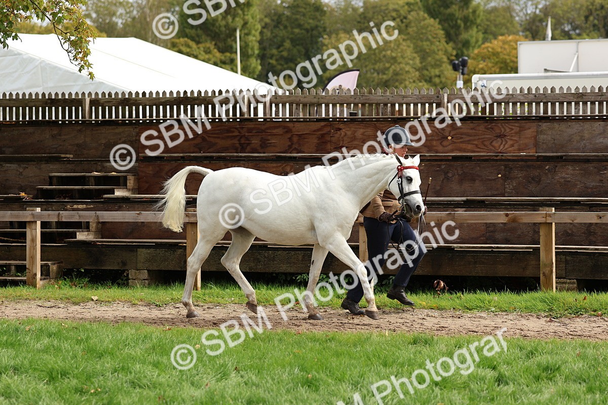 SBM_40745 - S25 -  Veteran In Hand