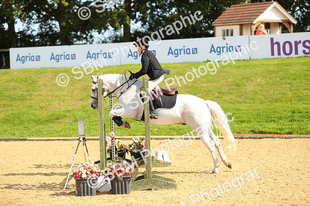 SBM_67334 - J17 - Junior Pony 80cm Championship