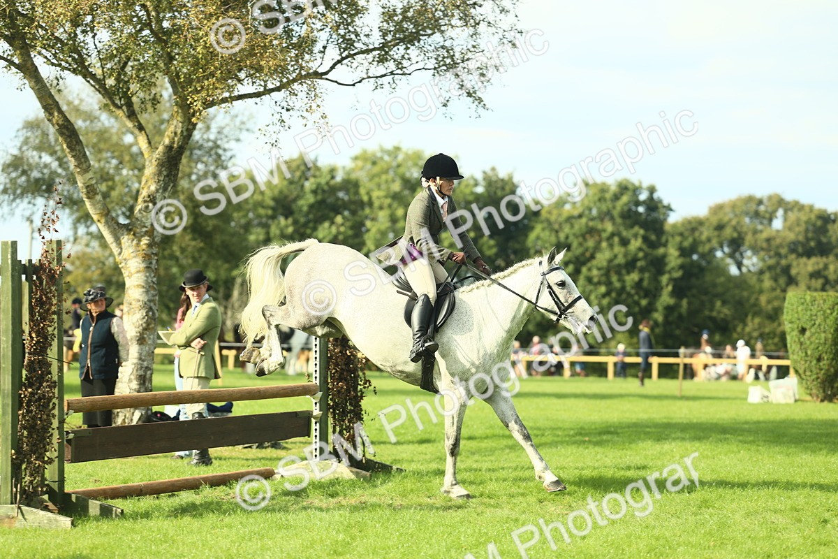 SBM_50647 - S33 - Working Hunter & Working Show Horse