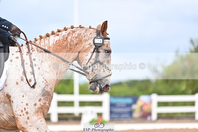 240817A-113739-08083 - 234-Pip.Stephens-Odd.spot.bright.eyes