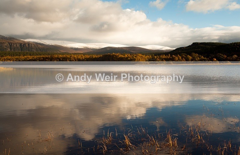 20101024-2921 - Scotland