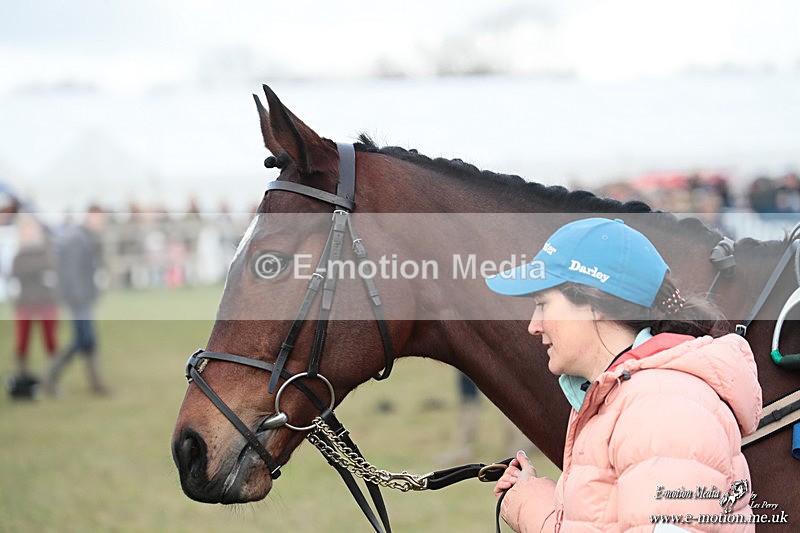PtP 250126 31 - Cocklebarrow Races Point-to-Point 25/01/26