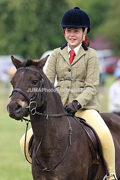 IMG_2559 - Working Hunter