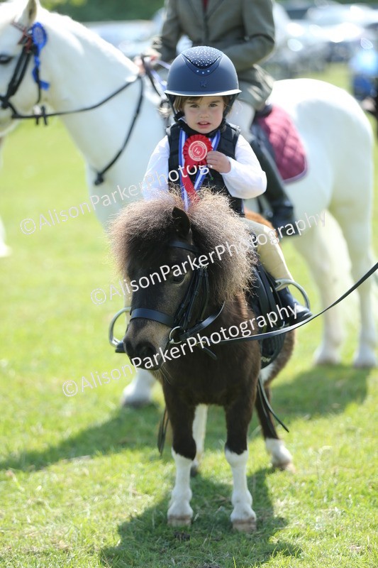 20250427-2751 - Class 6 - Pony Judge Would Most Like To Take Home