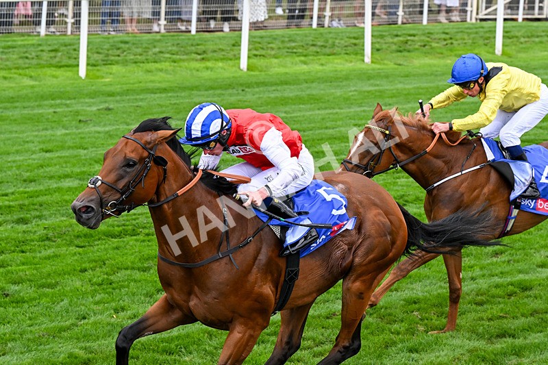 210826-Race 1-Blue Courvoisier-0096 - Race 1 13.50pm Sky Bet Mile Handicap