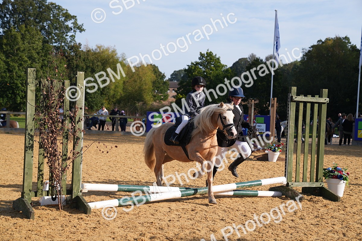 SBM_61250 - J1 - Mini Tour Junior Pony Lead Rein 30cm Championship
